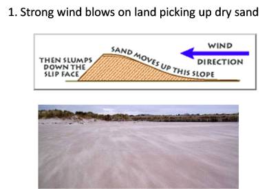 sand dune 1